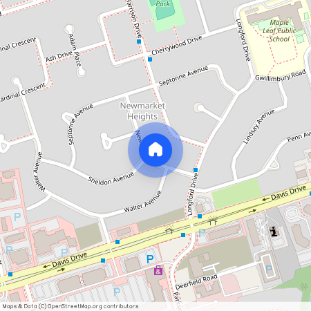 47 Newbury Drive Unit# Lower Fl, Newmarket