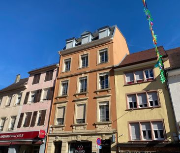 Location Appartement 1 pièce 30m² ALTKIRCH 68130 - Photo 6