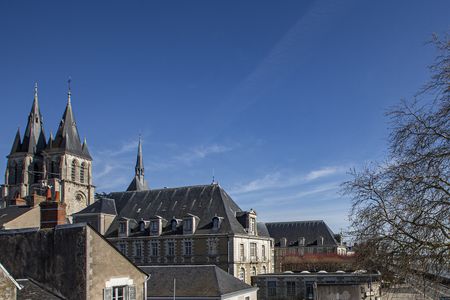 Location Appartement Meublé de Standing Blois - Photo 3