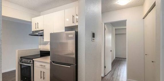 Beautiful 2Bed- 1Bath Suite - $500 Visa Gift Card! - Photo 2