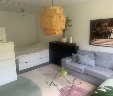 Jungfrudansen, Solna - Photo 4