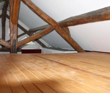 Location Appartement 1 pièce 29m² TOURNAN EN BRIE 77220 - Photo 3