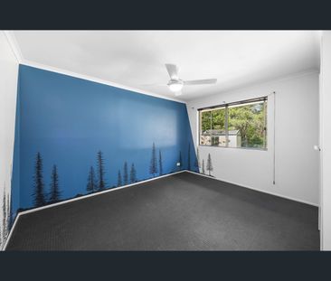 12 Janderra Street, Buderim, Qld 4556 - Photo 3