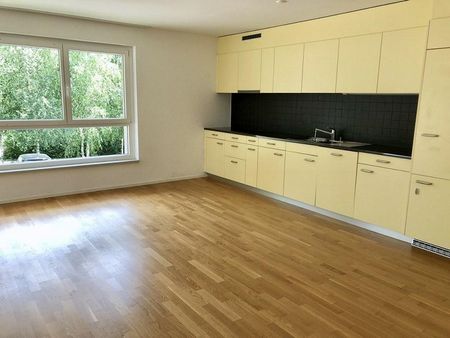 Stilvoll leben nähe Zürich - exklusiv an der Roosstrasse - Foto 3