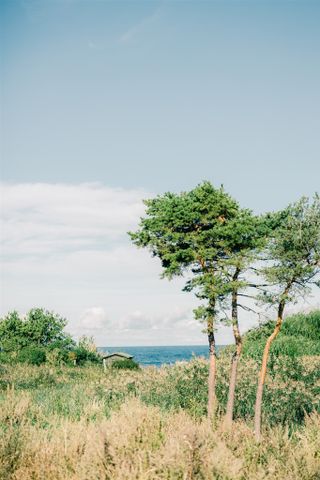 Väskinde Salthamn, Visby - Photo 5