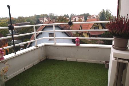 Appartement 3 pièces à Eckbolsheim - Photo 2