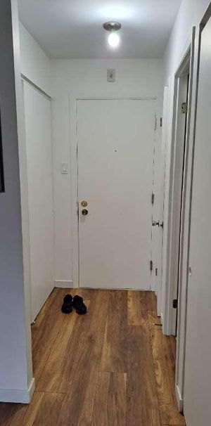 3 1/2 Chauffé/Éclairé, 1er Juillet, Lévis secteur Desjardins, UQAR, CFP - Photo 1