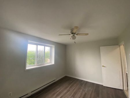 One Bedroom Apartment - Photo 3