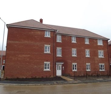 Snowdrop Street, Wymondham, NR18 0FY - Photo 5