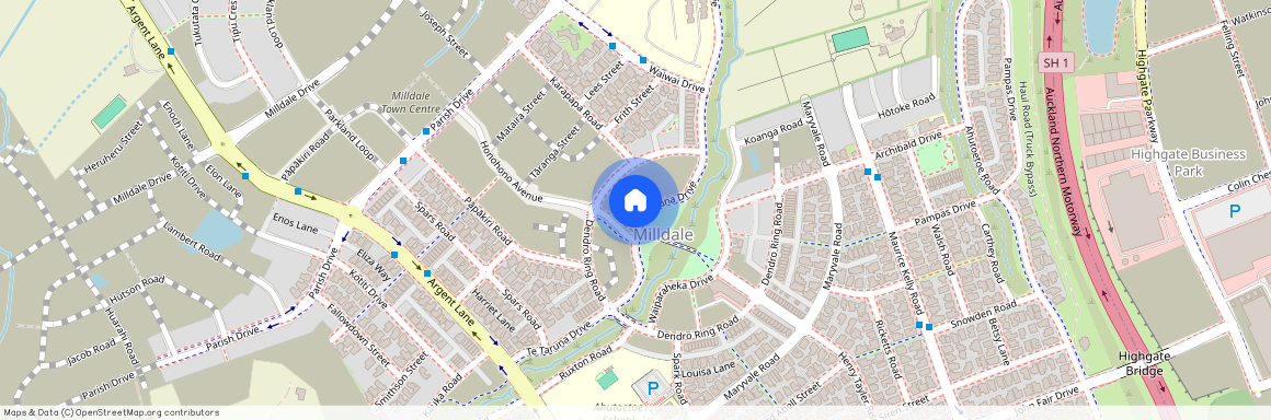 55 Te Taruna Drive, Milldale, Rodney