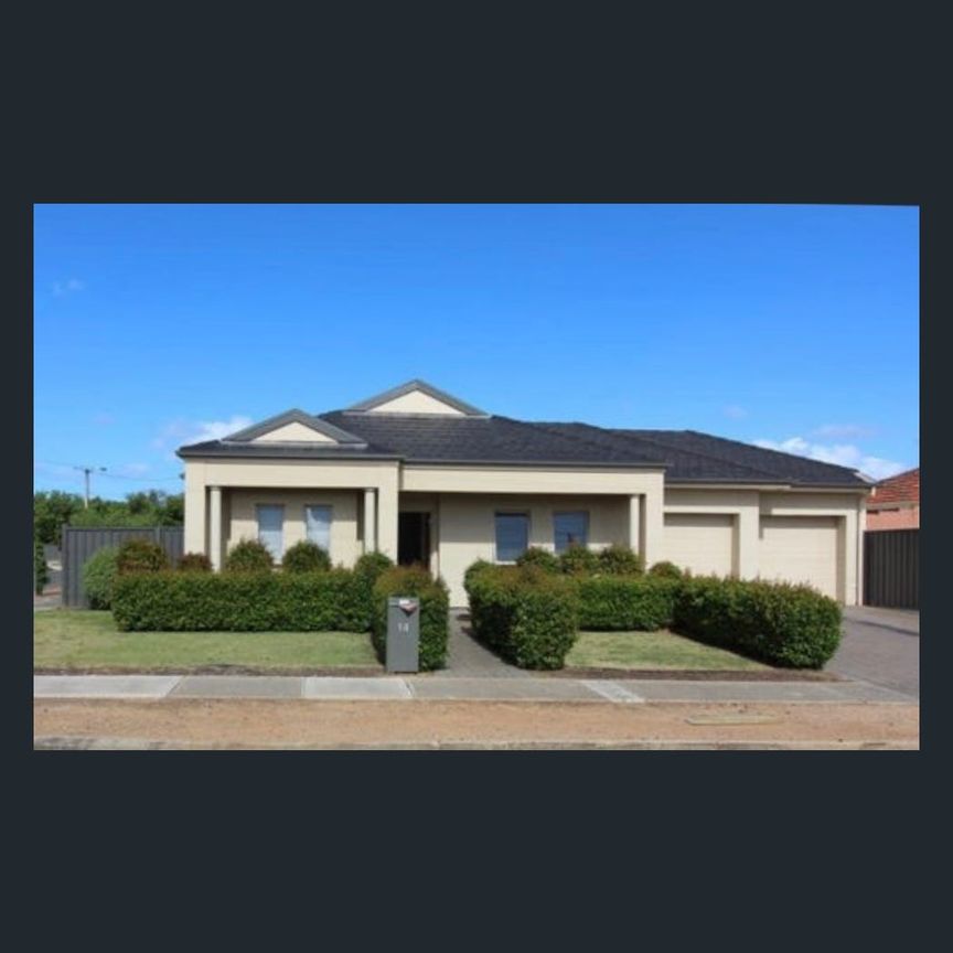 14 Mcgilp Avenue, Glengowrie, SA 5044 - Photo 1