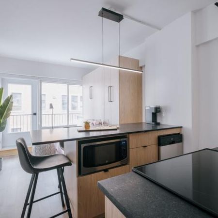 Loft entièrement meublé à louer Saint-Jean-Baptiste juillet 2026 - Photo 4