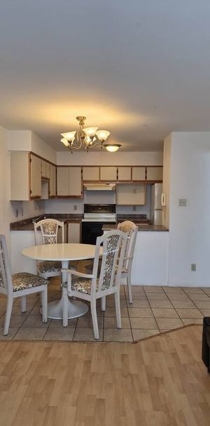 Logements 3 1/2 Pour 50 Ans + île-Bizard - Photo 1