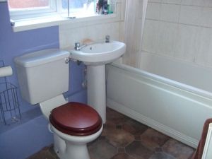 Second Avenue - Photo 5