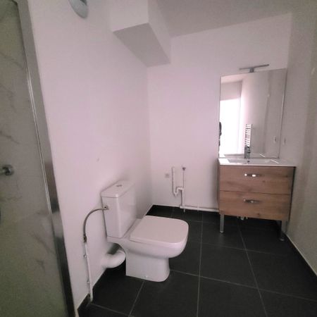 Location Appartement 1 pièce 33m² CROIX 59170 - Photo 4