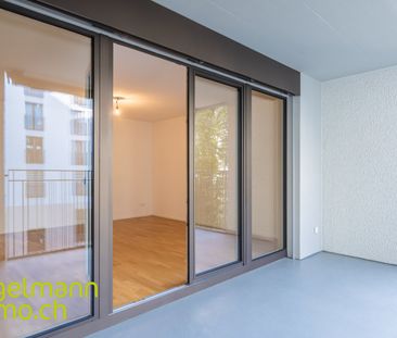 3.5 Zimmerwohnung / Appartement de 3.5 pièces - Photo 5