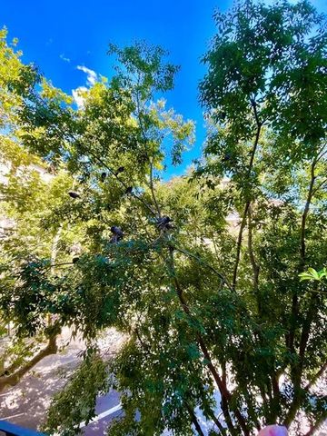 Carrer del Consell de Cent, Barcelona, Catalonia 08011 - Photo 2