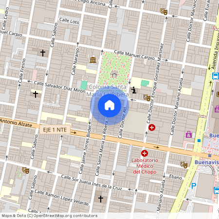 The Latte Café, Calle Doctor Atl 141 Local 1, Santa María la Ribera, 06400 Mexico City, Mexico