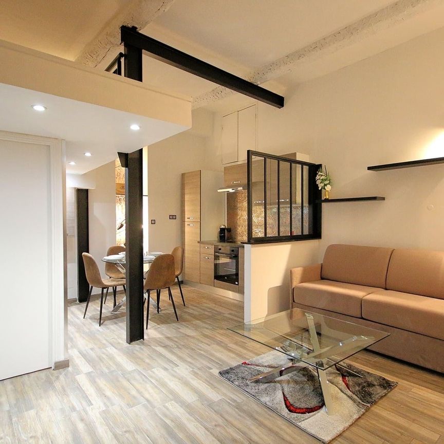 Location Appartement 1 pièce 28m² ANTIBES 06600 - Photo 1