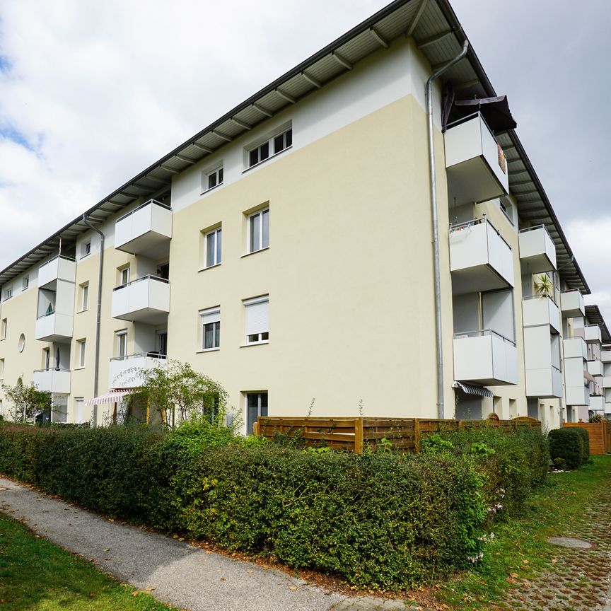 4690 Schwanenstadt, Johann-Fuchs-Straße 7/33 - Photo 2