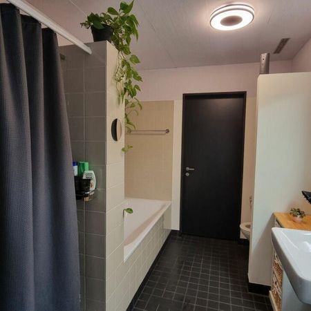 3.5 Zimmer Wohnung - Foto 4