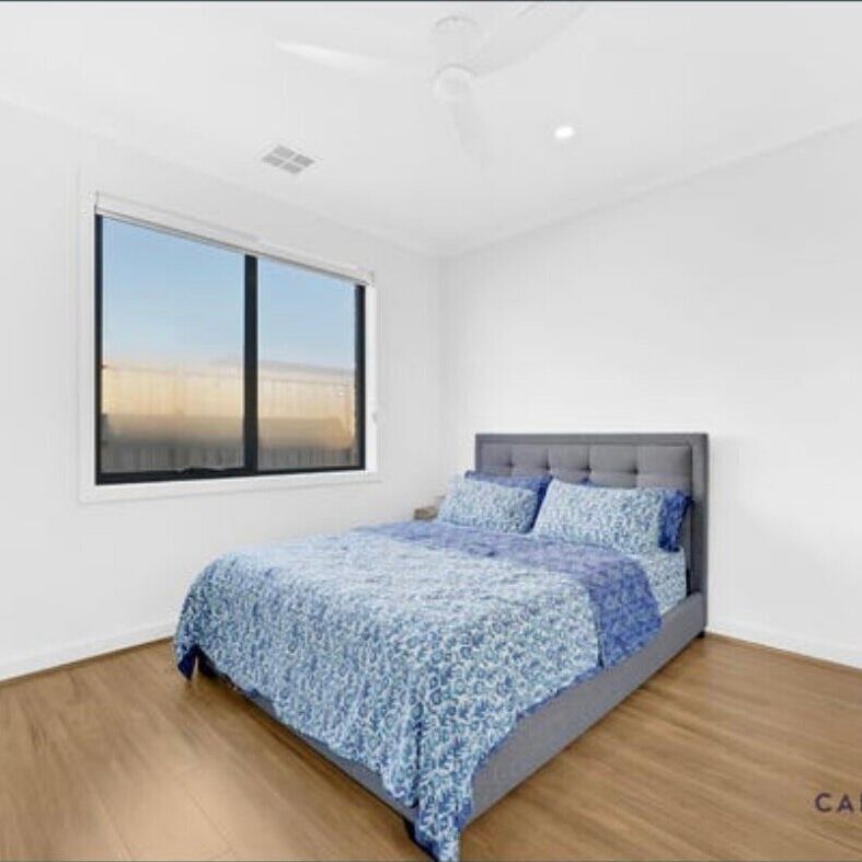 Donnybrook - Photo 1