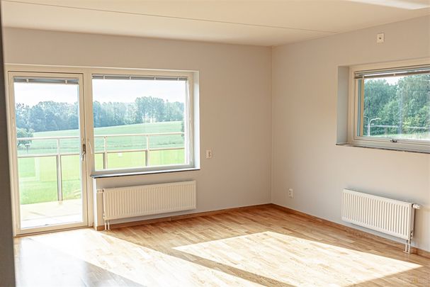 Sagogatan 5C - Foto 1