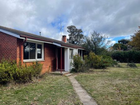 17 Dooring Street, Dickson ACT 2602 - House For Rent | Domain - Photo 2