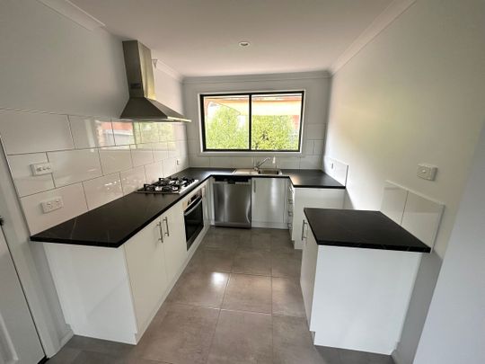 Central Renovated Unit - Photo 1