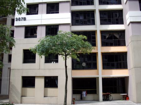 Blk 987B Jurong West Street 93 (Jurong West), HDB 4 Rooms - For Rent - Photo 4