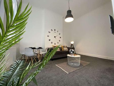 Holmes Street, L8 - Photo 4