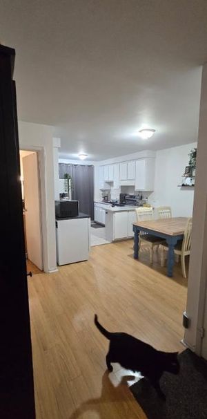 À Laval, un grand 4 1/2 à louer, disponible immédiatement - Photo 1