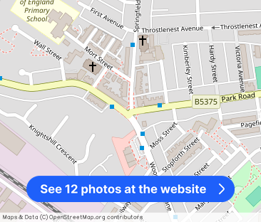 Park Road, Springfield - Photo 1