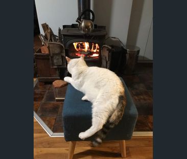 Fully Furnished, Cat Friendly Villa in Quiet Complex - Photo 5