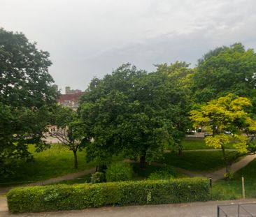 Room in a Shared Flat, Seeley Drive, SE21 - Photo 4