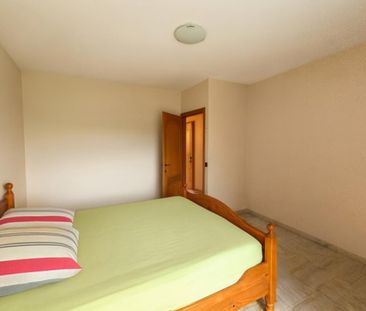 Appartement te huur in Zele - foto 2