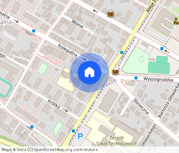 Mieszkanie w Kamienicy w centrum miasta - Photo 1