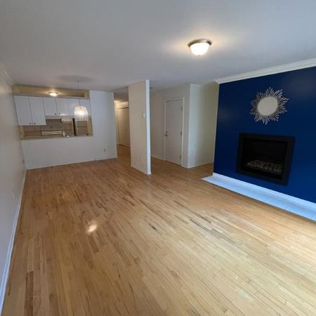 Grand 4½ (900 pi²) – Plateau Mt-Royal – Métro Laurier – Terrasse privée - Photo 4