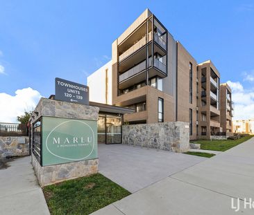 43/2 McMichael Terrace, Denman Prospect ACT 2611 - Apartment For Re... - Photo 2