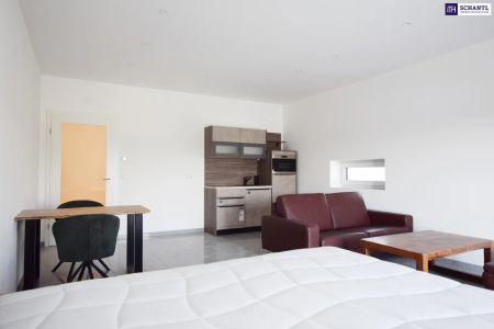 VOLLMÖBLIERTE Garconniere mit 45m² in der MALERISCHEN West-Steiermark! ERSTBEZUG ab sofort verfügbar! - Photo 2