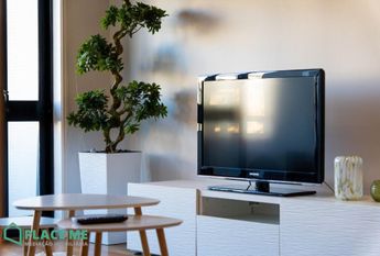 Arrendamento Apartamento T1