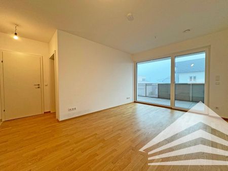 Hochwertige 2 Zimmer-Neubauwohnung mit großem Balkon und 2 TG-Stellplätze - Foto 3