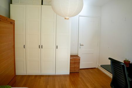 3 ZI-WOHNUNG IN BERN - MONBIJOU, MÖBLIERT, TEMPORÄR - Foto 3