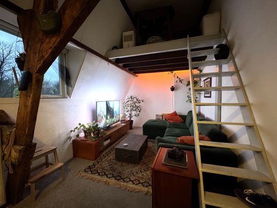 Delpratsingel - Photo 1