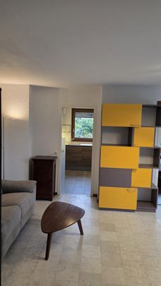 Magnifique 2 pièce meublé avec terrasse de 57m2 à deux min du lac/St-Sulpice VD - Foto 1