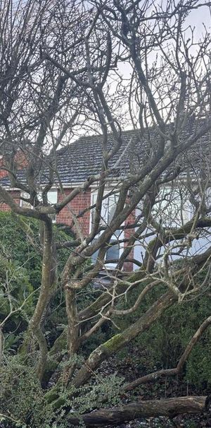 3 bedroom detached bungalow to rent - Photo 2