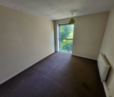 2 bedroom Apartment for rent - Photo 3