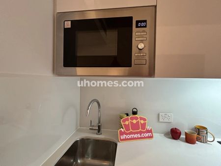 Signature Studio Apartment-Standard View - Photo 5