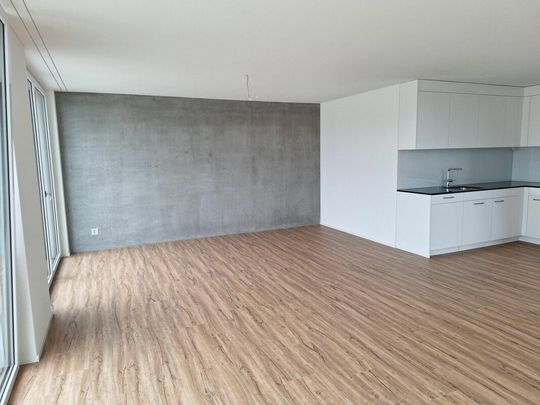 Grosszügige 2.5 Attikawohnung mit 79m2 - Foto 1