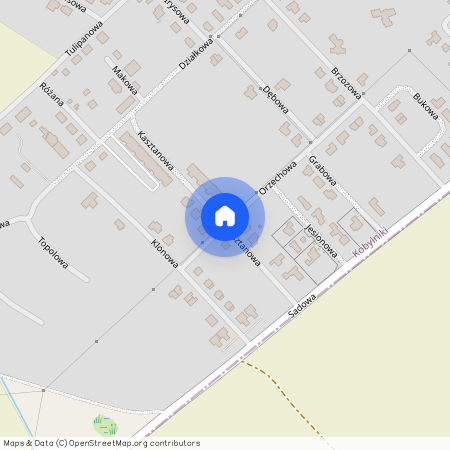 ul. Kasztanowa, Kobylniki, Rokietnica, poznański, wielkopolskie